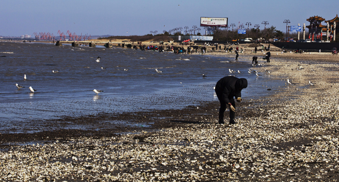 溣ʰؐ           YlzӰ