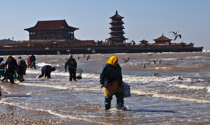 溣ʰؐ           YlzӰ