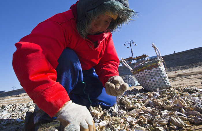 溣ʰؐ           YlzӰ