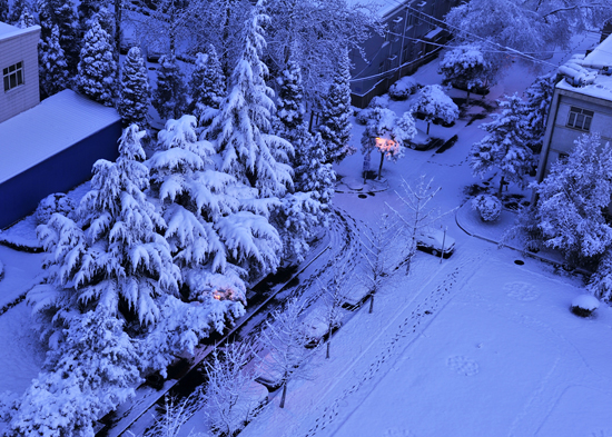 邊小抗攝影作品