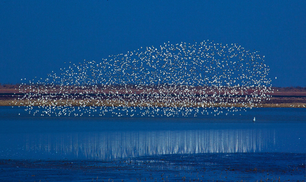 14.۶ꖺB        ϼzӰ