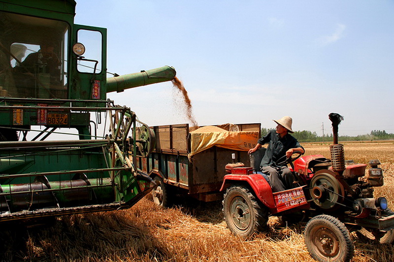 ̽200562헳DĘs zӰ