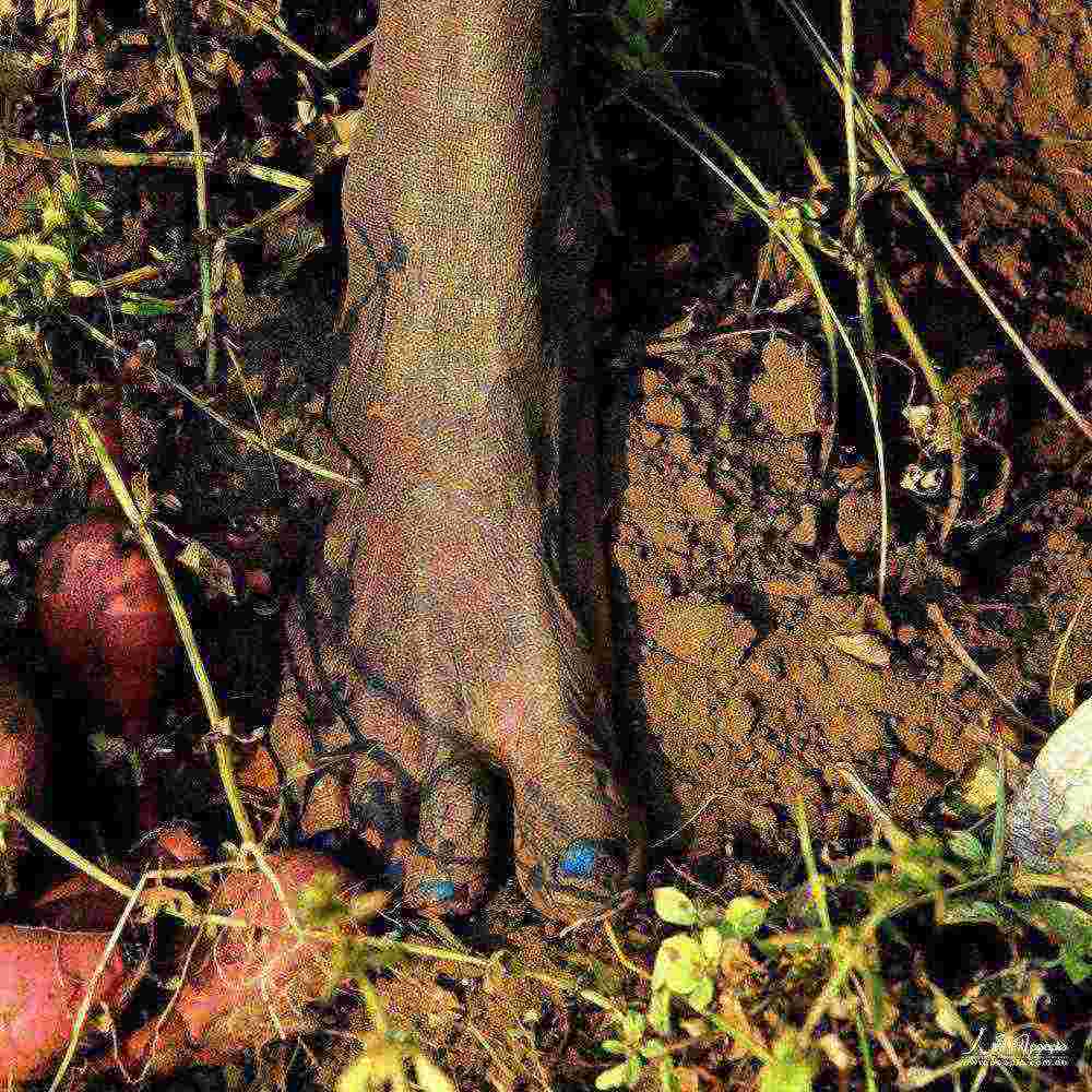 Ů˲ؚFFvڄ𣩵һr@NֲtŮ{ɫ_ָѽVӔzӰ