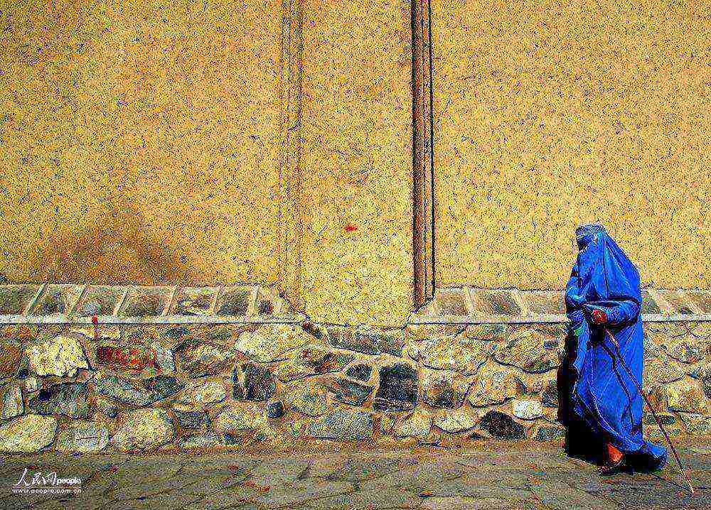 ڿĴȻдs20%ċDŮ  ӔzӰ