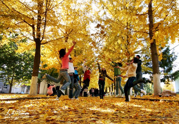 王娟攝影作品展