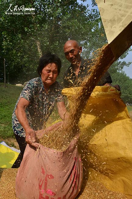 陳玉霞攝影作品展