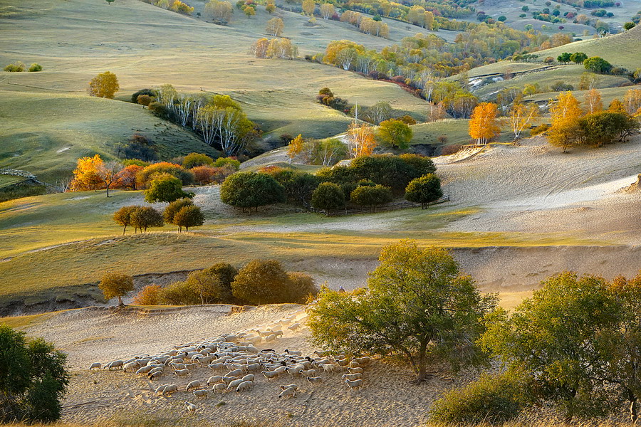 @20149ĩĔzăɹſʲvԭzӰ˶Q顰ϡM@ǰ@ʰߔ̵Ȼ^ɽ¸ߵeľݵɫqq򃺺OĿho߅oHfǧ˕rҵZؚ......ֻҪ@ﶨB@ǔzӰ˵