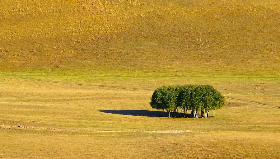 張憲鳳攝影作品展