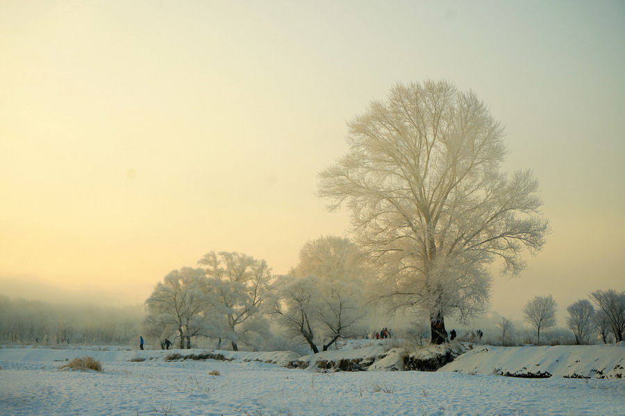 @FڡuĔzFڡuǼɻϵһСuﲻĽˮvˮF՚,ژY˪WQ֮顰FɻɰܶطܿFɍuFڡ@ĵ؄^Ѕ^нˮh՚@ཻ׺춼Fڡ˪ѩyǳЕrFhɾȻ@ҲǔzӰĵط