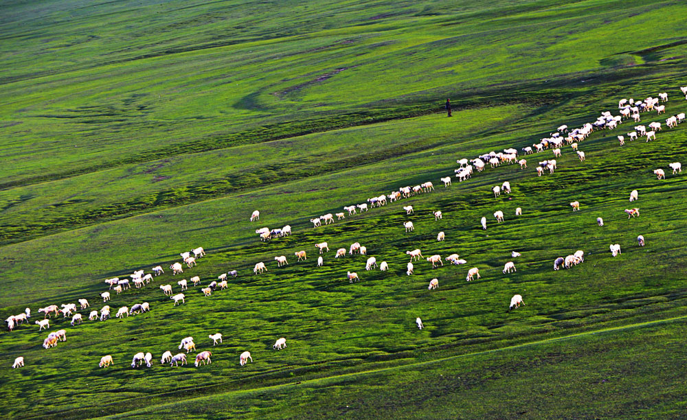 河北女攝協張家口助力奧運采風作品