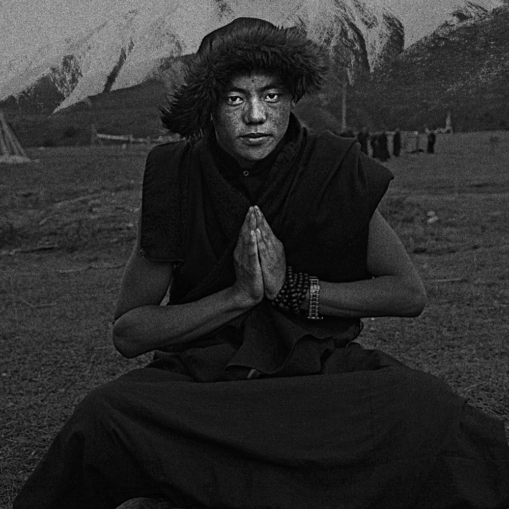 張芳作品《藏·原·情》