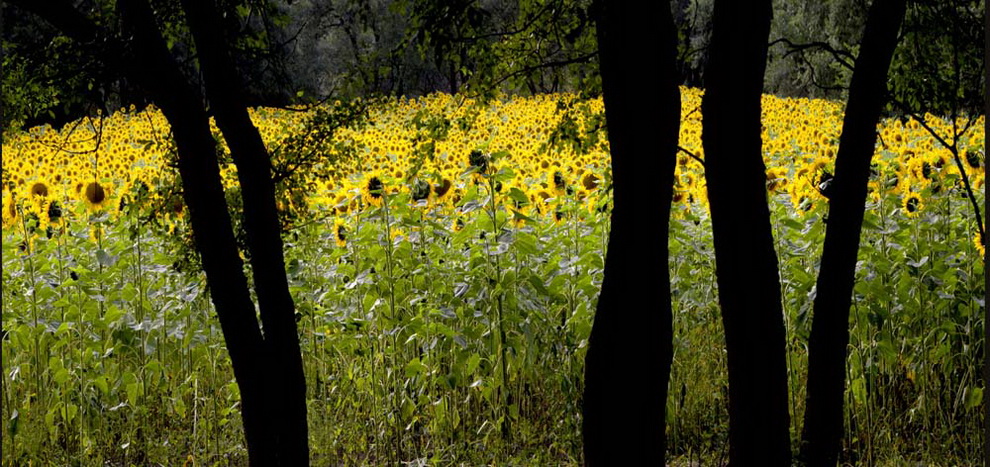 12.Ϡǰ_                     ǏzӰ