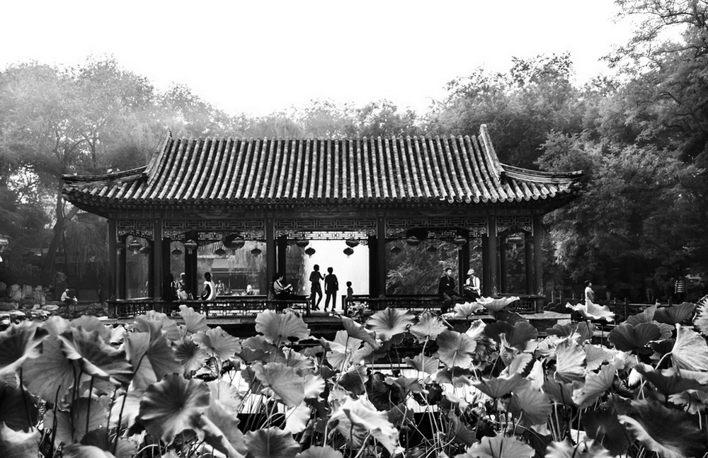 34.顰ɡ             mGxzӰ