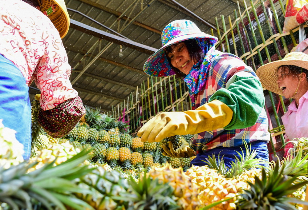 }Sյļߣຣϼ2015425ĔzڏV|ʡ