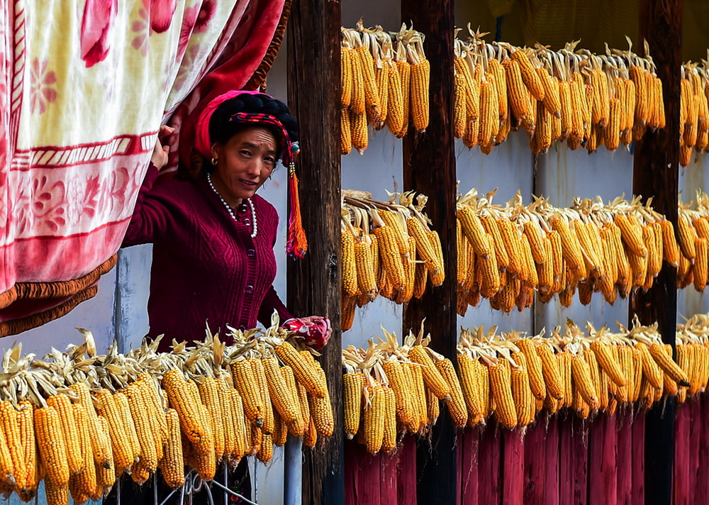 կϰߣຣϼ20151017ĔzĴʡͲ