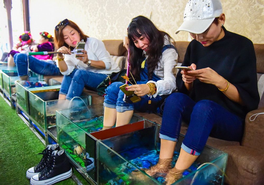 ~ߣຣϼ20151019ĔzĴʡɶ