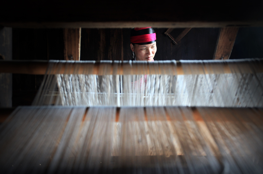 《織娘》趙欣攝影作品