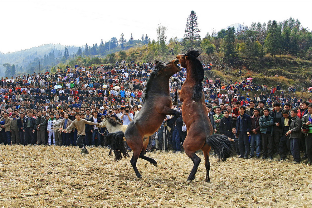 廣西女攝影家協會會員作品選