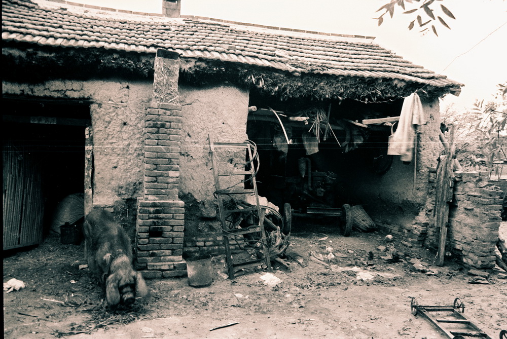 31992wt֥ҵķӛ]T