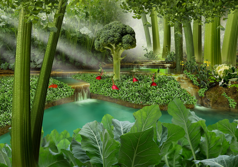 創意類組照 孫麗萍攝影作品