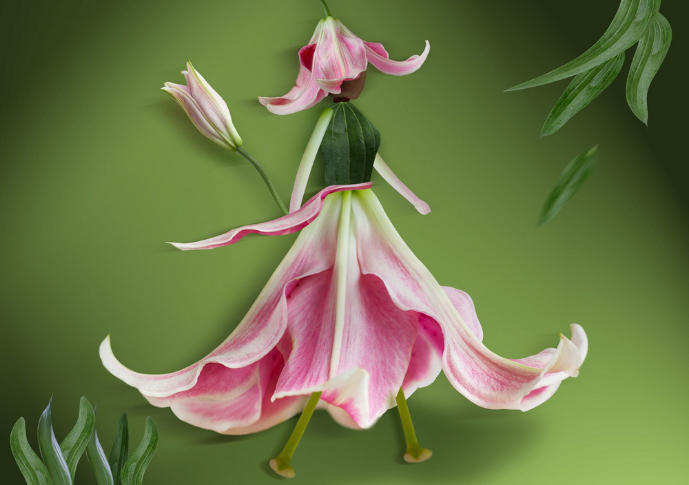 10⻨ܡ(ðٺϻĻо~MϳഺŮԢⴺ)