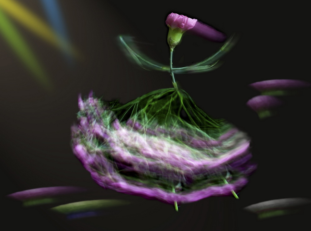 12⻨ܡAƝ(ڰаѻ֦DγɄӸ)