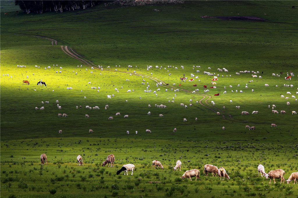 ߌЇŮzӰ҅fTƷչԭ֮