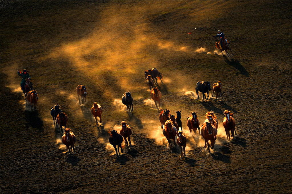 ߌЇŮzӰ҅fTƷչERv