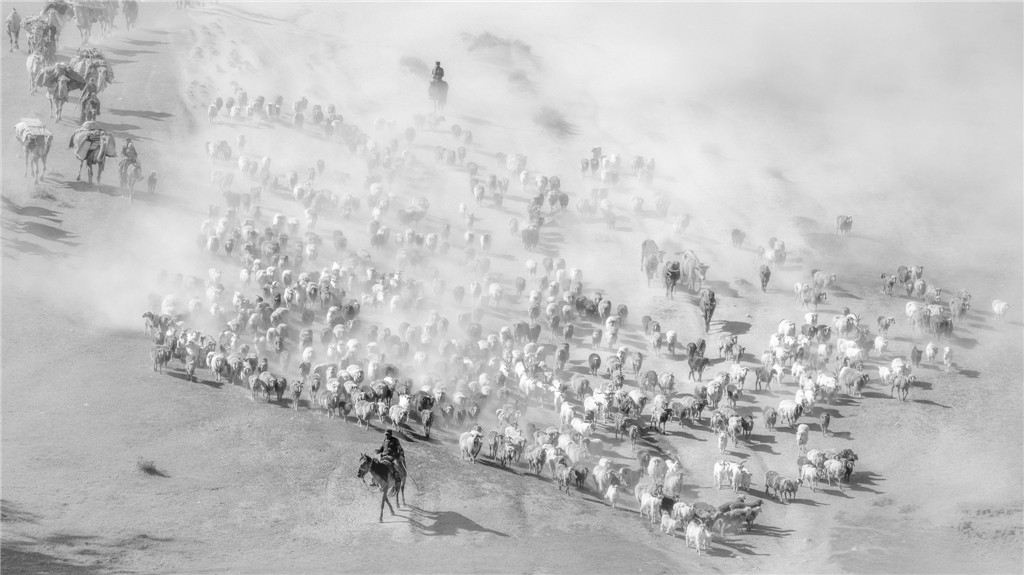 ߌЇŮzӰ҅fTƷչţD