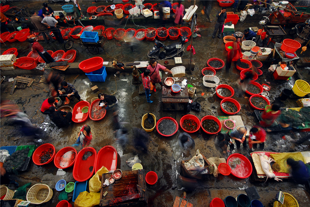 ߌЇŮzӰ҅fTƷչˮaЈ