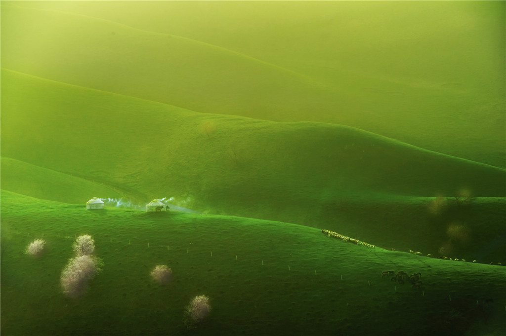 ߌЇŮzӰ҅fTƷչ¸ҁ½