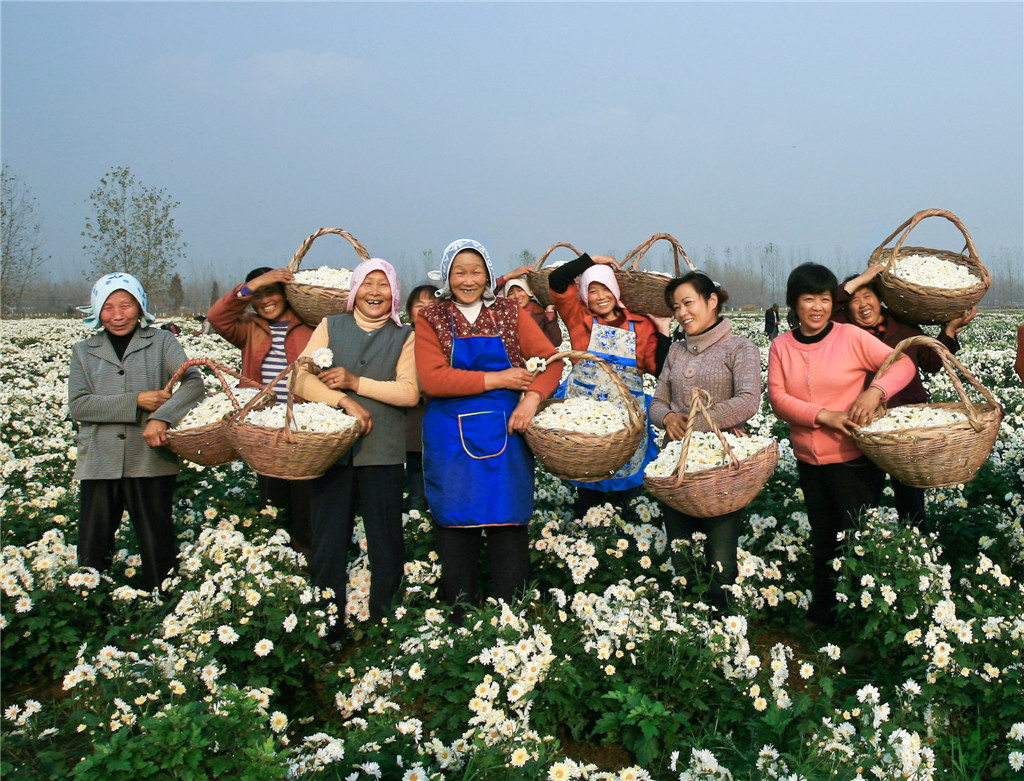 ߌЇŮzӰ҅fTƷչϲSվ