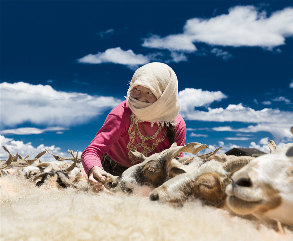 ߌЇŮzӰ҅fTƷչҸ򋌋