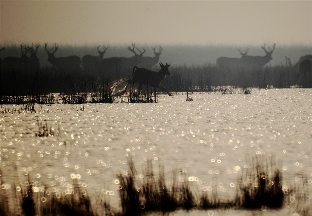 《夢幻家園》錢麗攝影