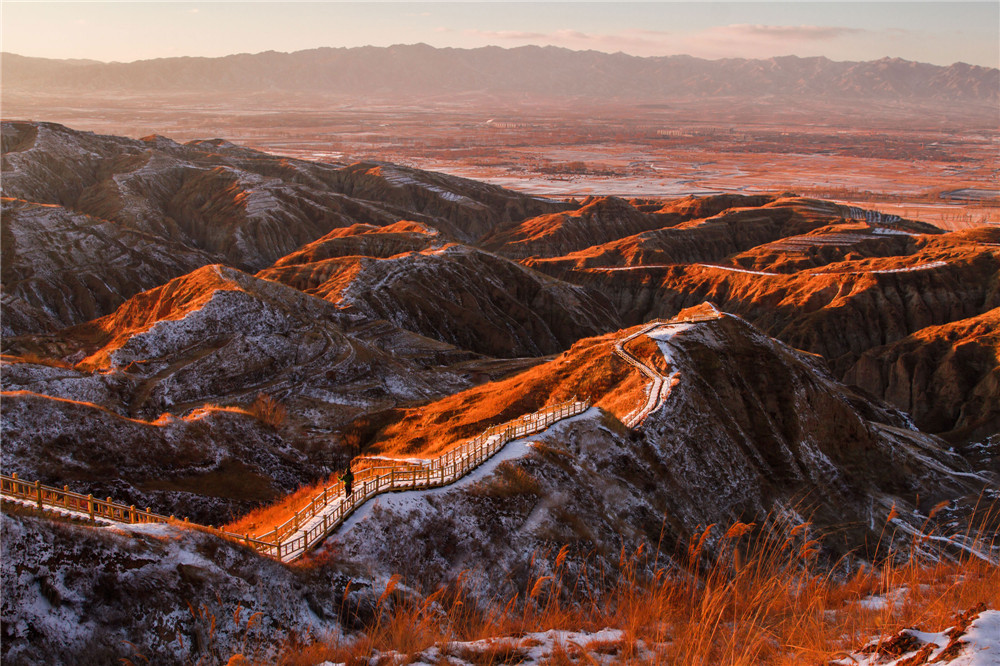 1.ϦӞƬĔzߣwռmӢ߅lZϼmwƽM÷Ͻ÷OԪT־w