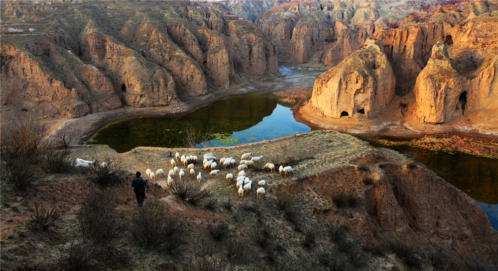 2.ӡӞƬĔzߣwռmӢ߅lZϼmwƽM÷Ͻ÷OԪT־w