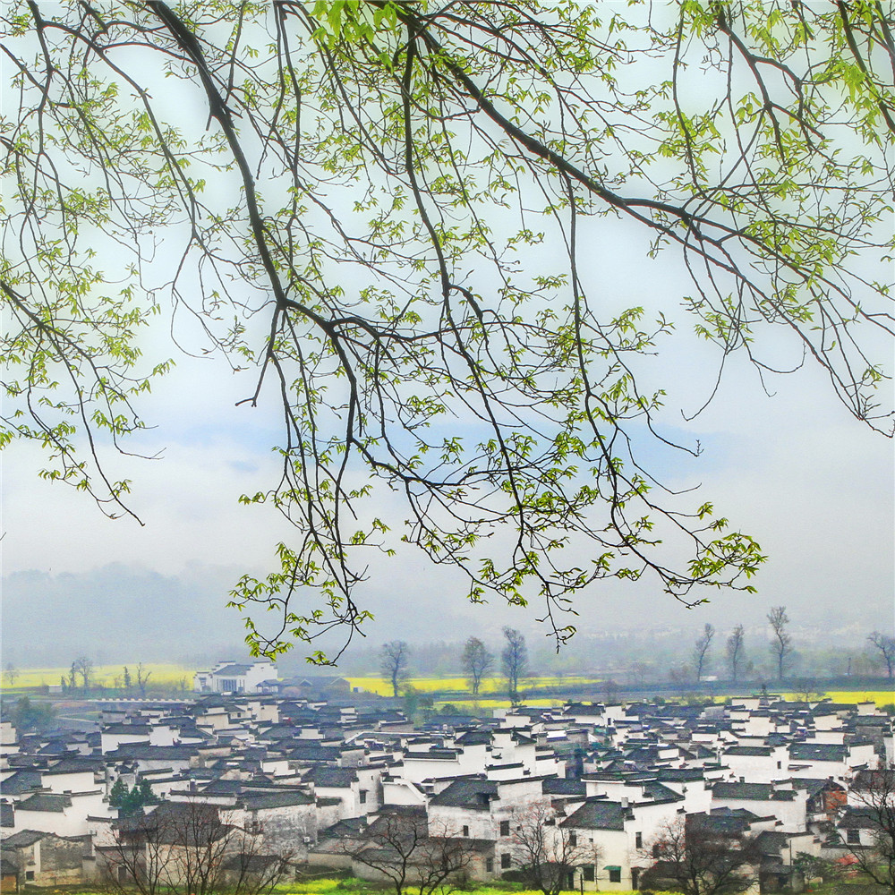 《春意，徽州》常玉攝影作品