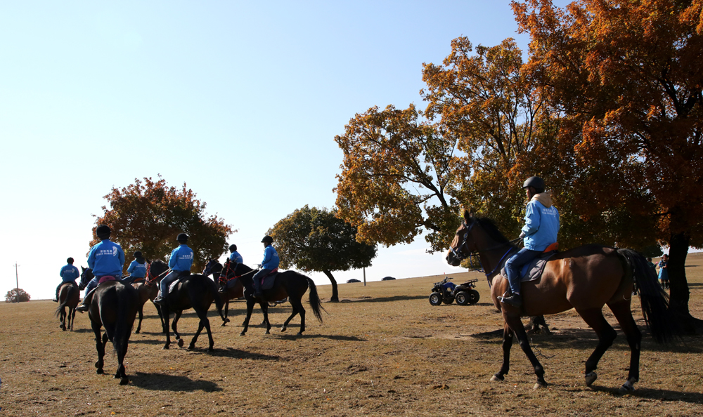 34.ِR֮lֲԭɹRչʾ