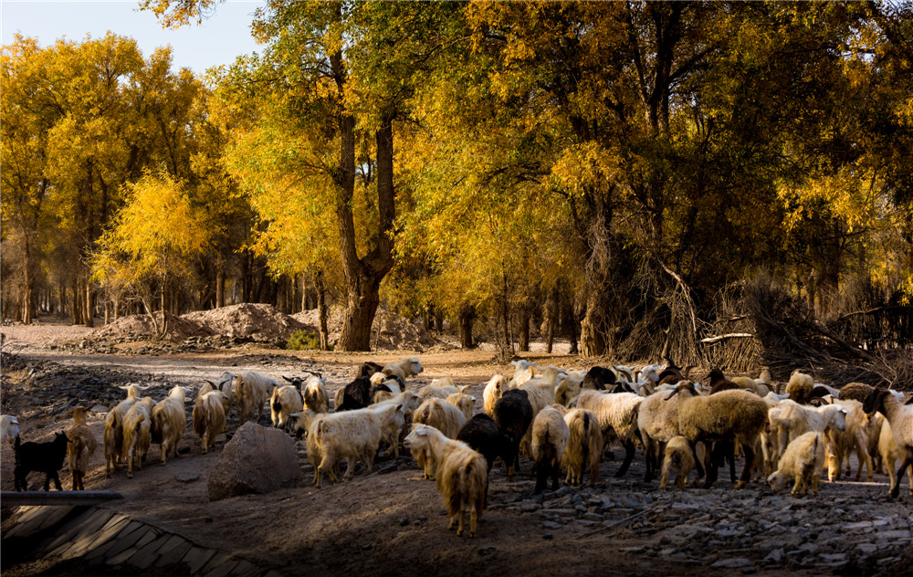 《新疆巴楚采風》劉振華作品