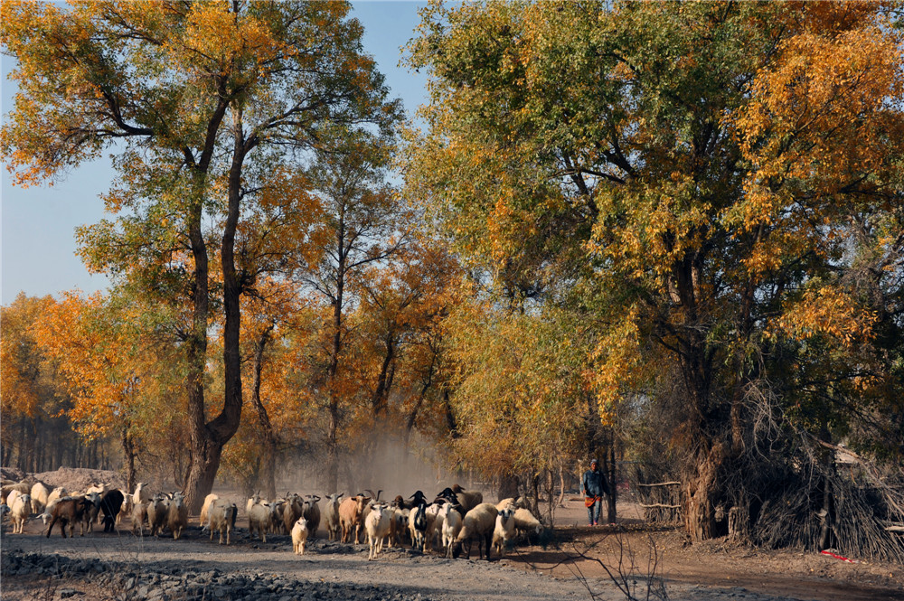 《新疆巴楚采風》吳丹旻作品