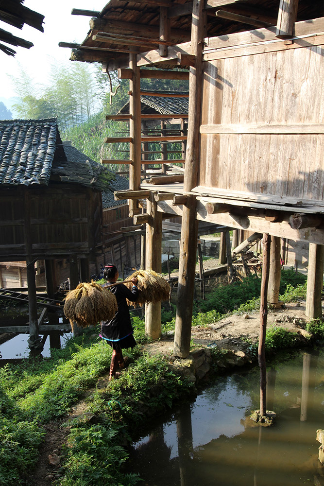 ЇŮzӰҾ۽Fǭ|ùL֪ͨ4