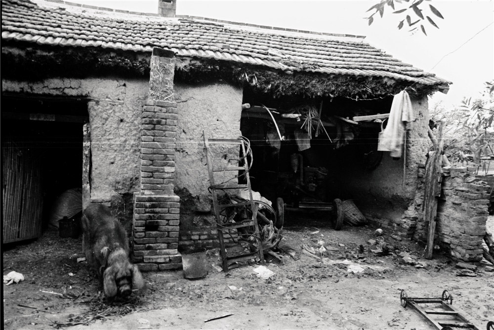 021990wt֥ҵķӛ]TϿӵǶ©Ψһؔaһ^i