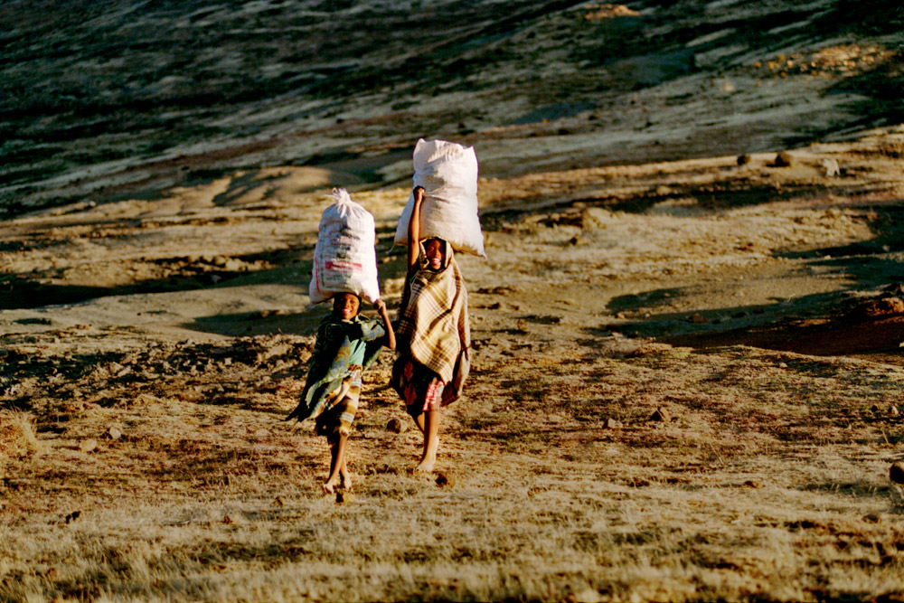 6Rɽ^ĺӂÿҪ΄ʰԂʹ