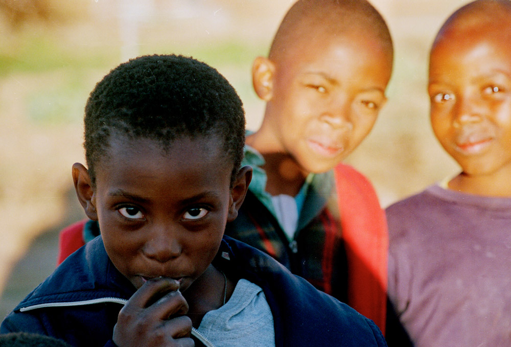 11ȑyķއRɽ^ĺӂM̎ȫh^ƽo