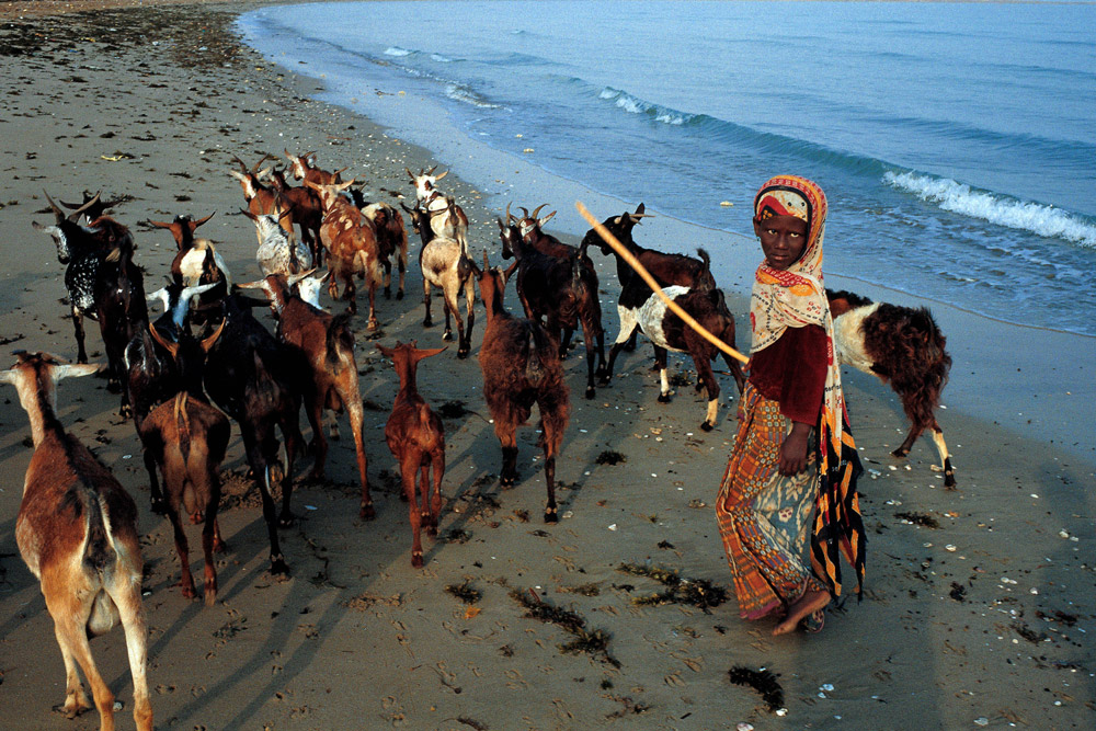 12ڼt߅W󲿷30qϵŮ˛]^W^ȥֻ±ҕĻڽ̵ŮǱֹMµŮ˂Ļȫ̎߅λŮӏСֻ܎ͼˮȫòеĽ