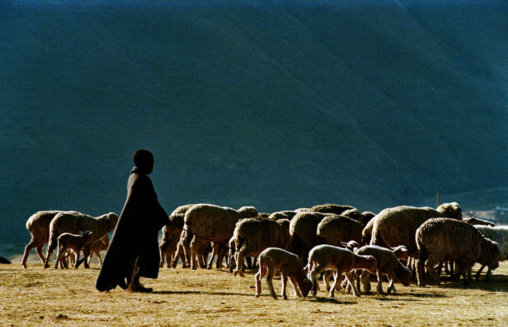 17ɽ^ĺӂĳLһªįֆһҲʹ`ͬ峺ĸȪ