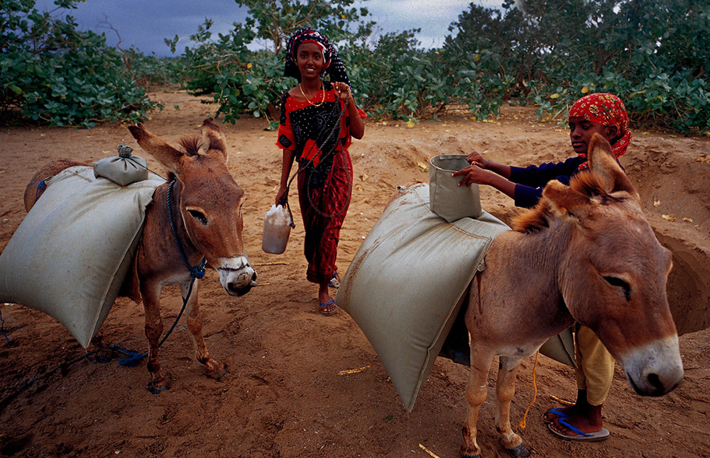 5ڼt߅ɳĮˮ˂֮Դ^ȥˮƤˮˮFѽMëHWˮÿ^ëHWăɴˮԽQ10֮һˮ