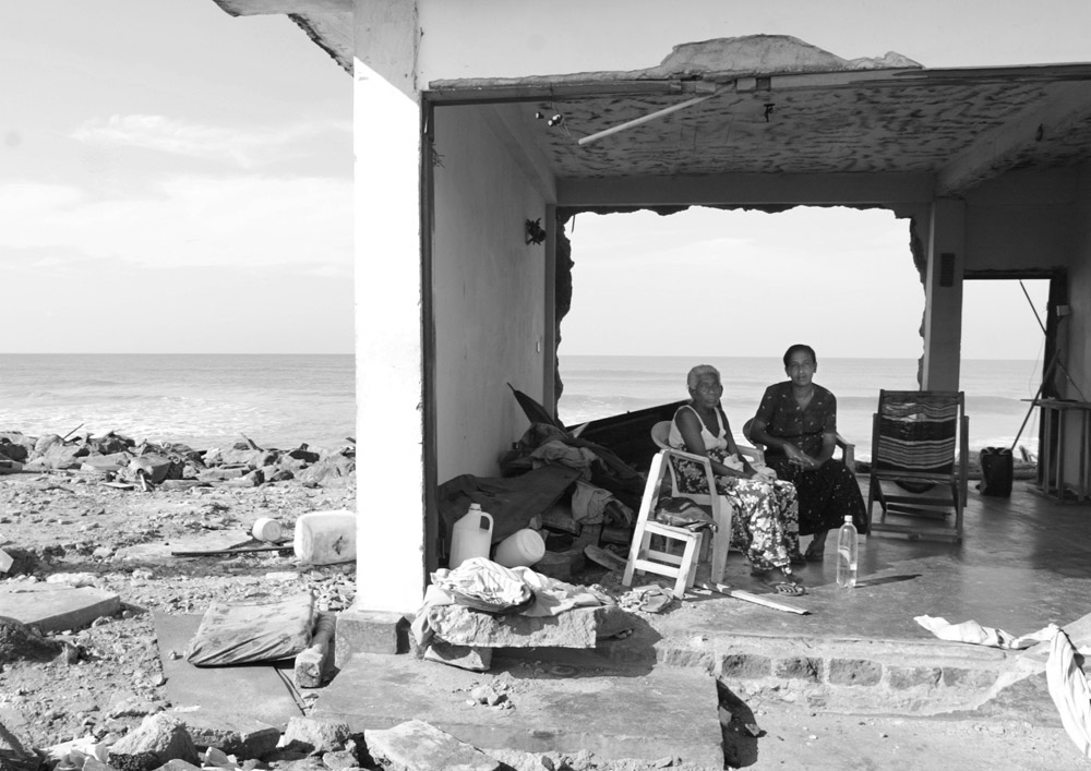 《東南亞海嘯》鄭萍萍作品