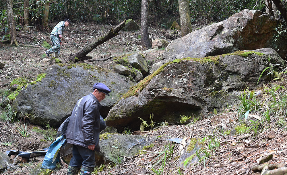 ȹ֣ǰČOӗˮڡȡǰMМʂ乤319ՔzAӛ Ƃ z