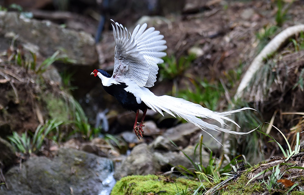 Ϫhlƴ塰ȡĔzİ319ՔzAӛ Ƃ z